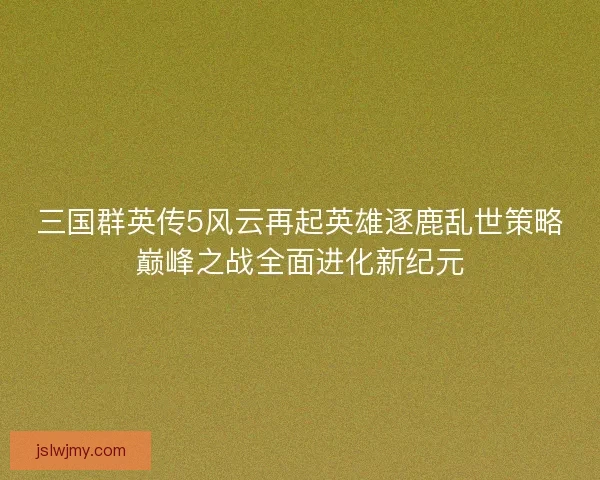 三国群英传5风云再起英雄逐鹿乱世策略巅峰之战全面进化新纪元